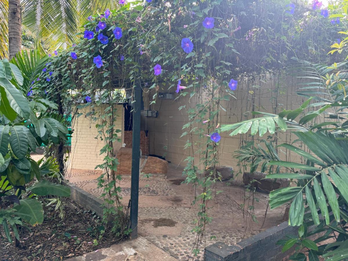 Chikoo Farm Inn Bangalore Esterno foto